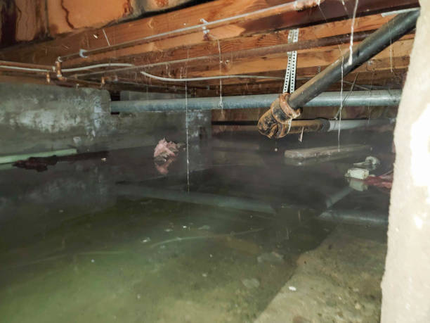 Best Local water damage restoration  in Canonsburg, PA