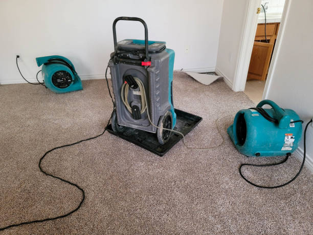Best Flooded house restoration  in Canonsburg, PA