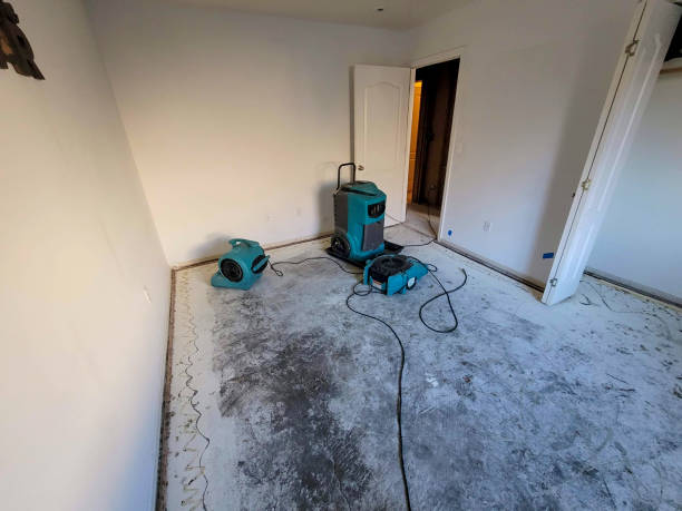 Best Water damage restoration process  in Canonsburg, PA