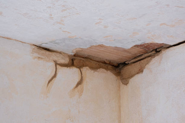 Best Emergency water damage restoration  in Canonsburg, PA