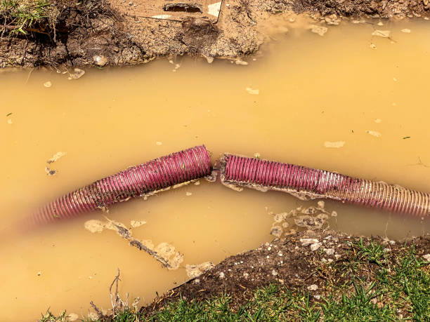 Best Mold removal after water damage  in Canonsburg, PA