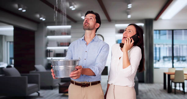Best Flood restoration services  in Canonsburg, PA